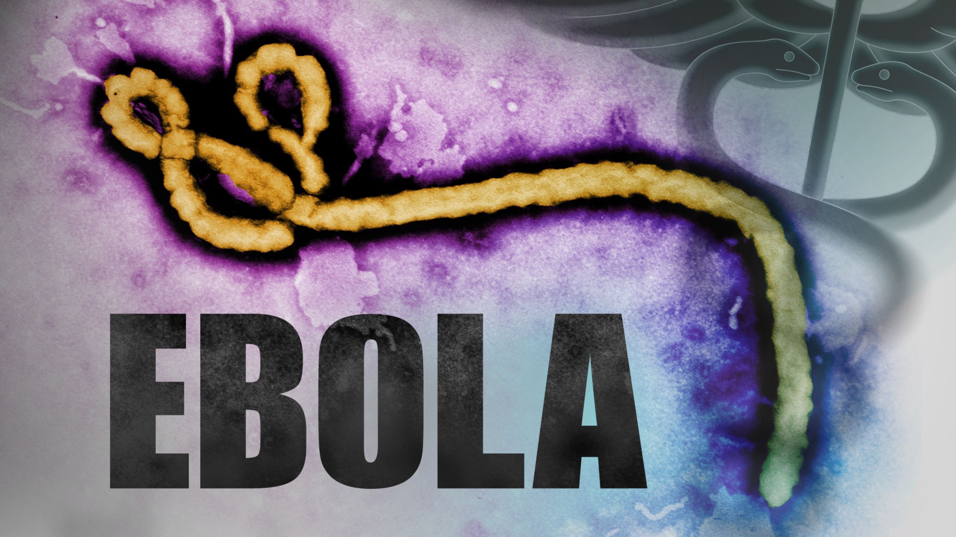 Vírus EBOLA e a ordem mundial