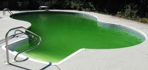 Green-Pool
