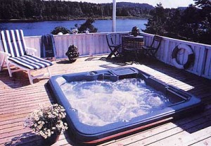 Hot Tub Spa Buyer's Guide