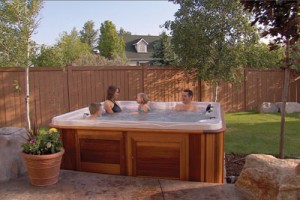 Arctic Spas